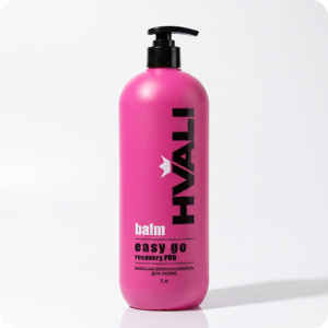 Easy Go Recovery PRO